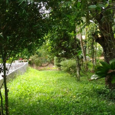 Philip Mary Farm Stay Thekkady Ngoại thất bức ảnh