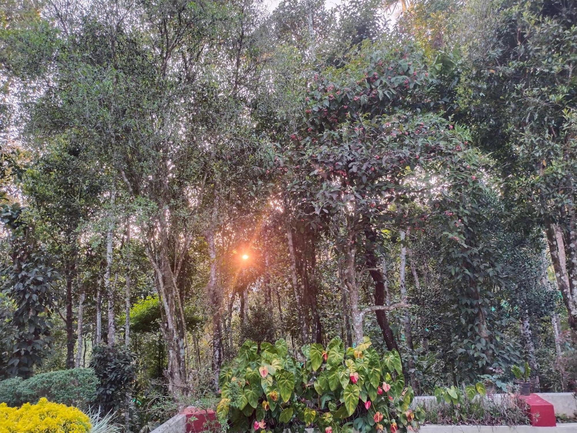 Philip Mary Farm Stay Thekkady Ngoại thất bức ảnh