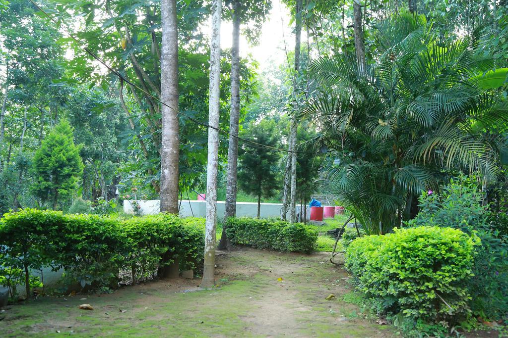 Philip Mary Farm Stay Thekkady Ngoại thất bức ảnh