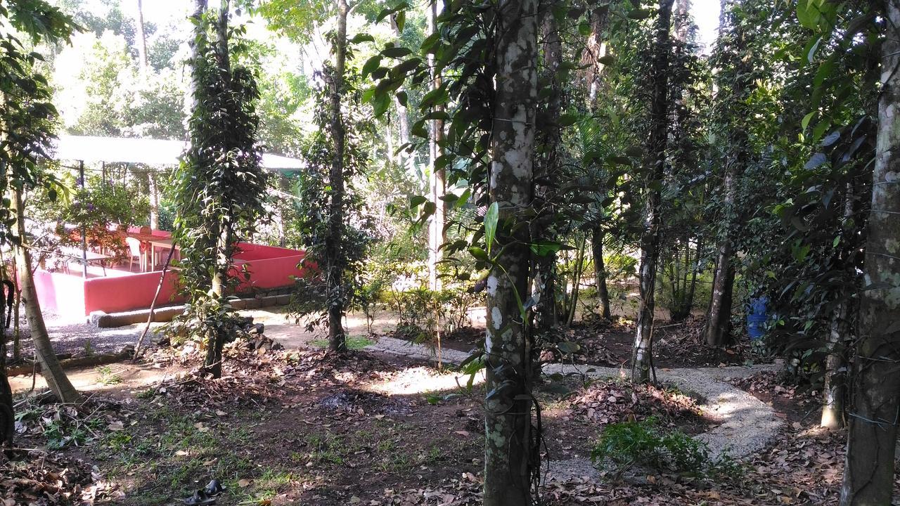 Philip Mary Farm Stay Thekkady Ngoại thất bức ảnh
