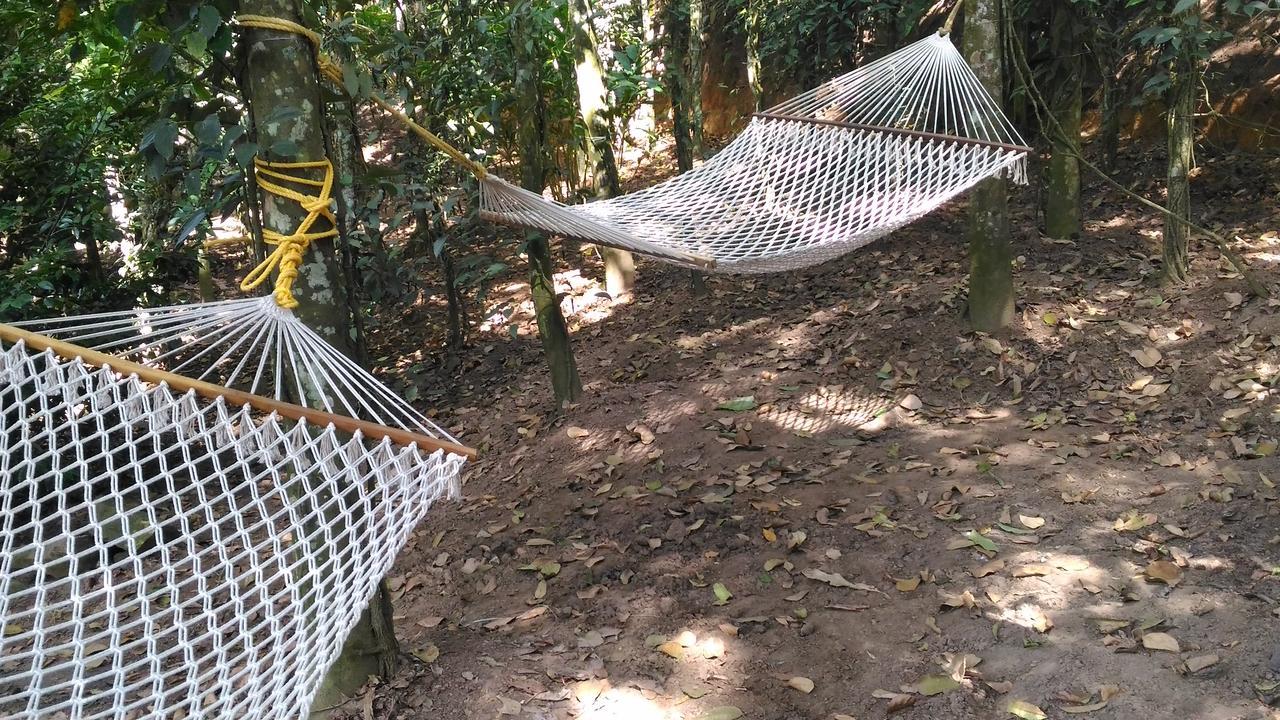Philip Mary Farm Stay Thekkady Ngoại thất bức ảnh