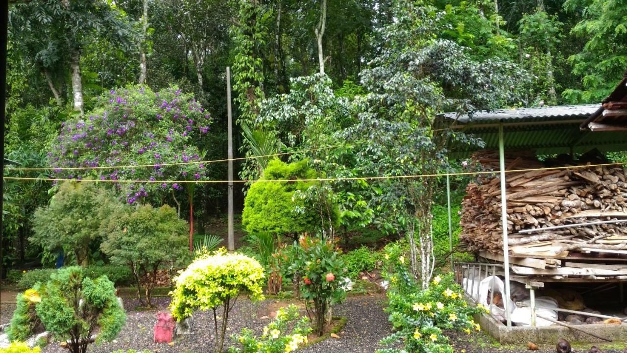 Philip Mary Farm Stay Thekkady Ngoại thất bức ảnh