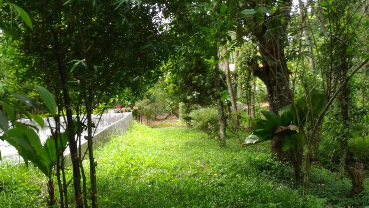 Philip Mary Farm Stay Thekkady Ngoại thất bức ảnh