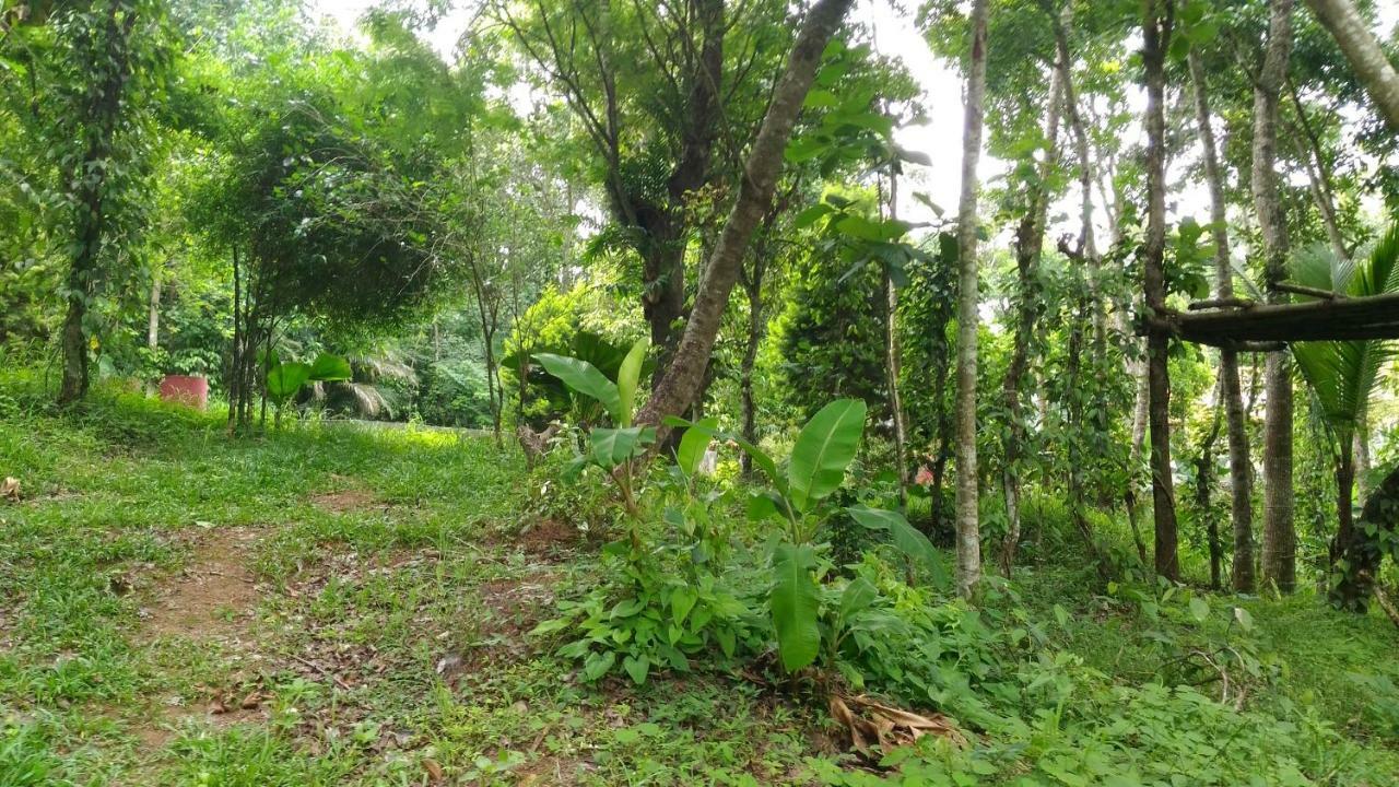 Philip Mary Farm Stay Thekkady Ngoại thất bức ảnh