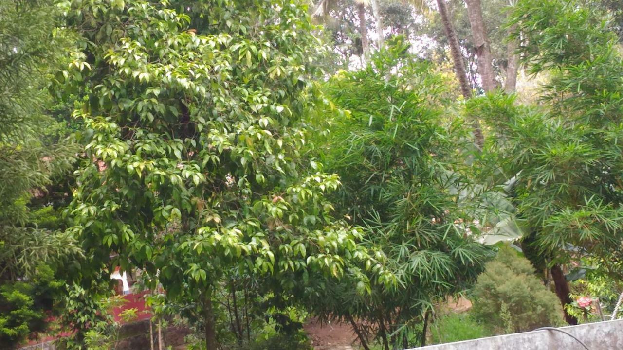 Philip Mary Farm Stay Thekkady Ngoại thất bức ảnh