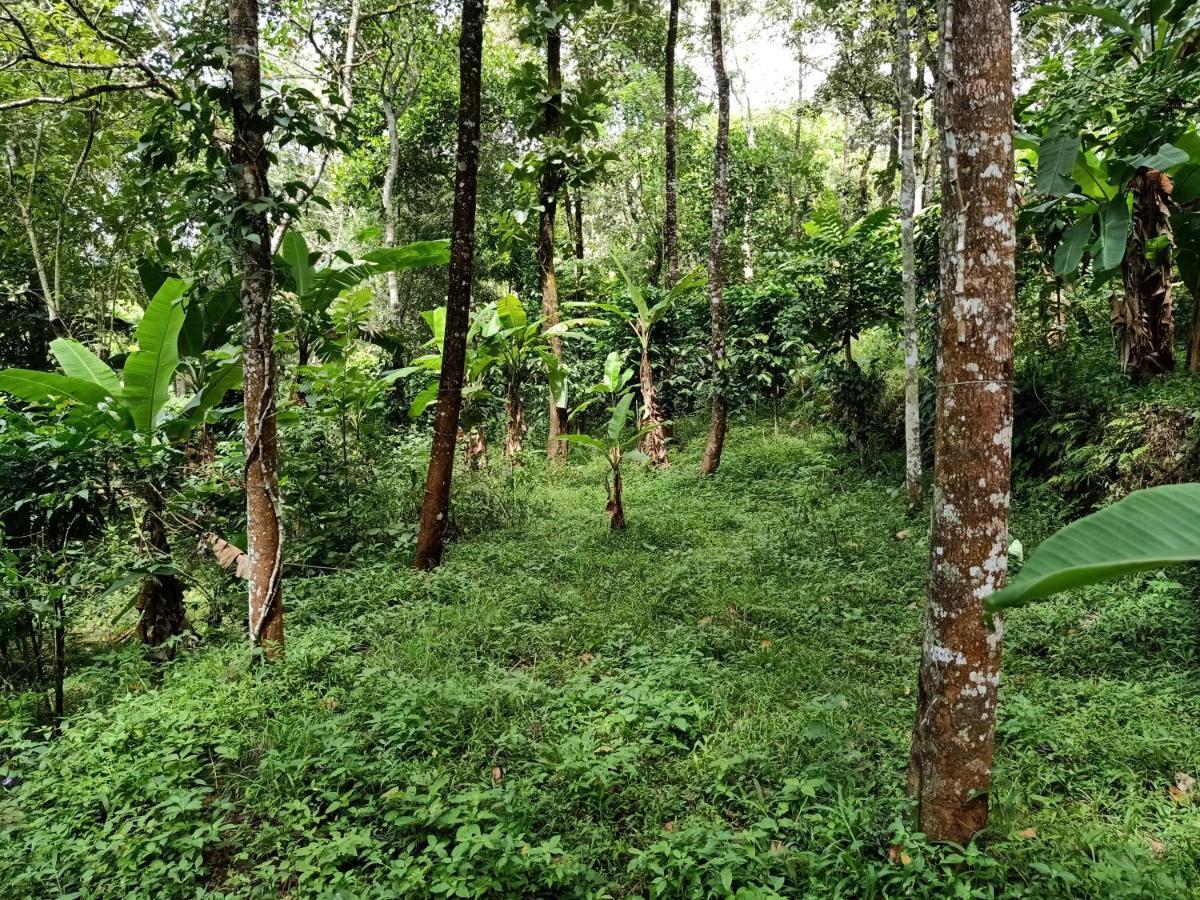 Philip Mary Farm Stay Thekkady Ngoại thất bức ảnh
